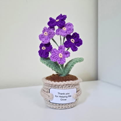 Flower Pot - Forget Me Not