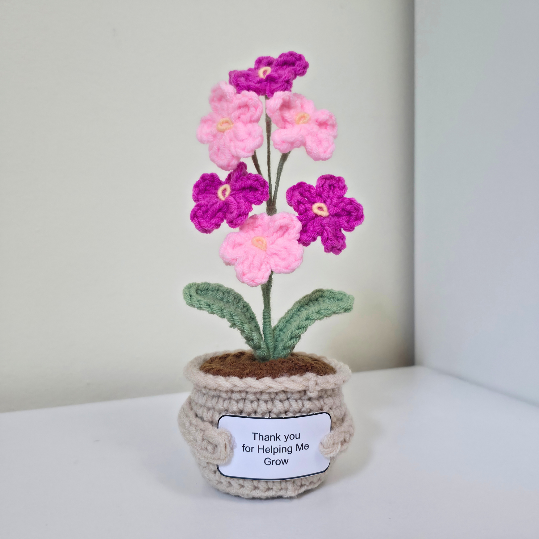 Flower Pot - Forget Me Not