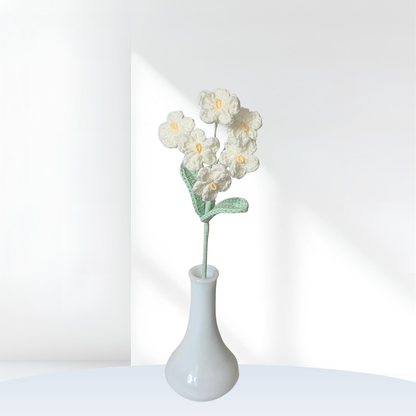 Forget-Me-Not Stem