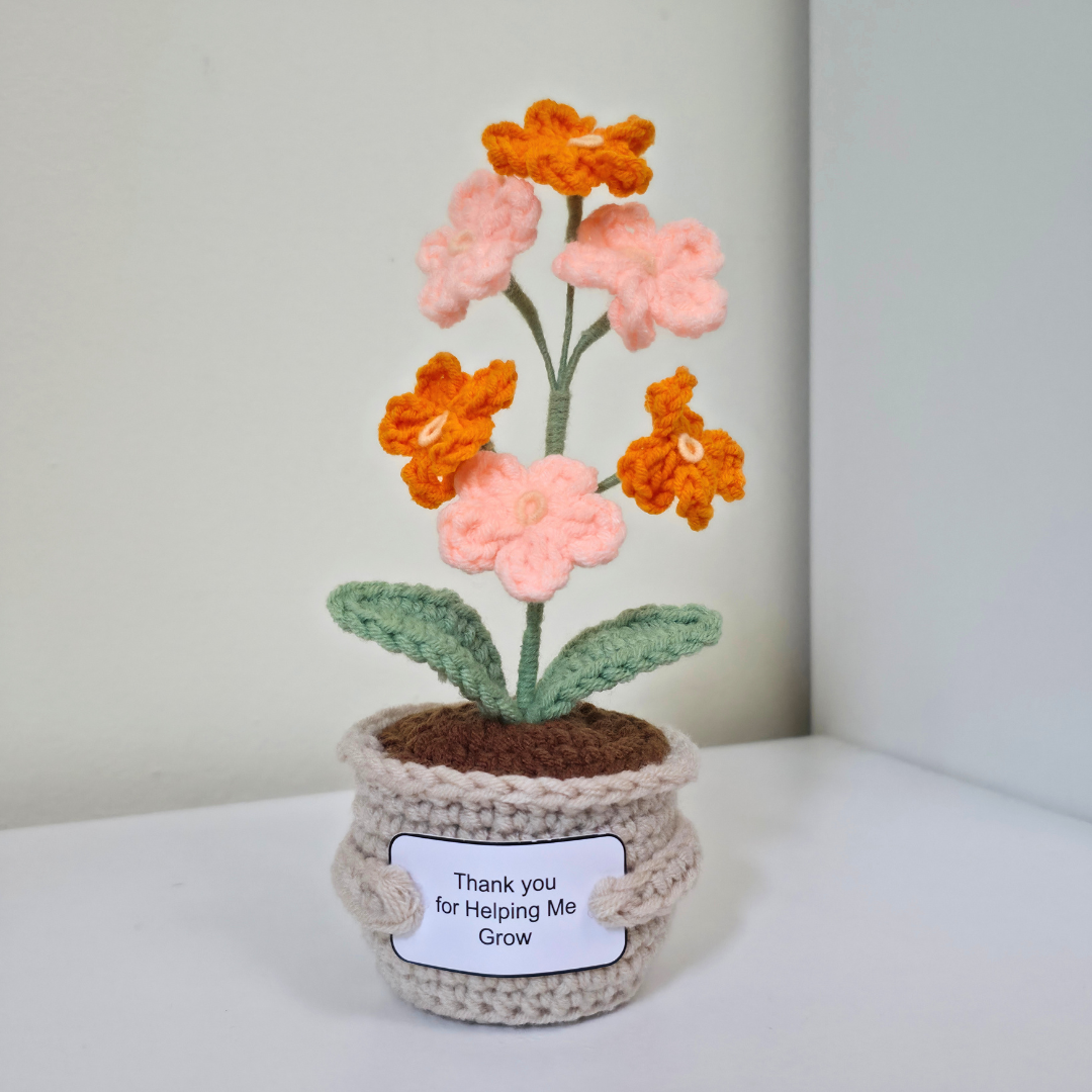 Flower Pot - Forget Me Not