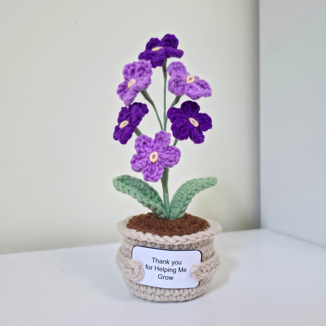 Flower Pot - Forget Me Not