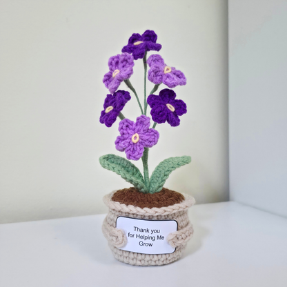 Flower Pot - Forget Me Not