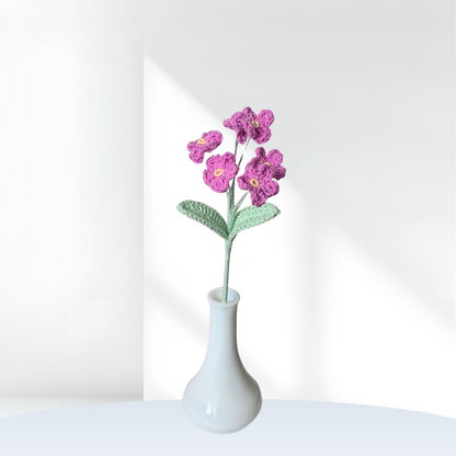 Forget-Me-Not Stem