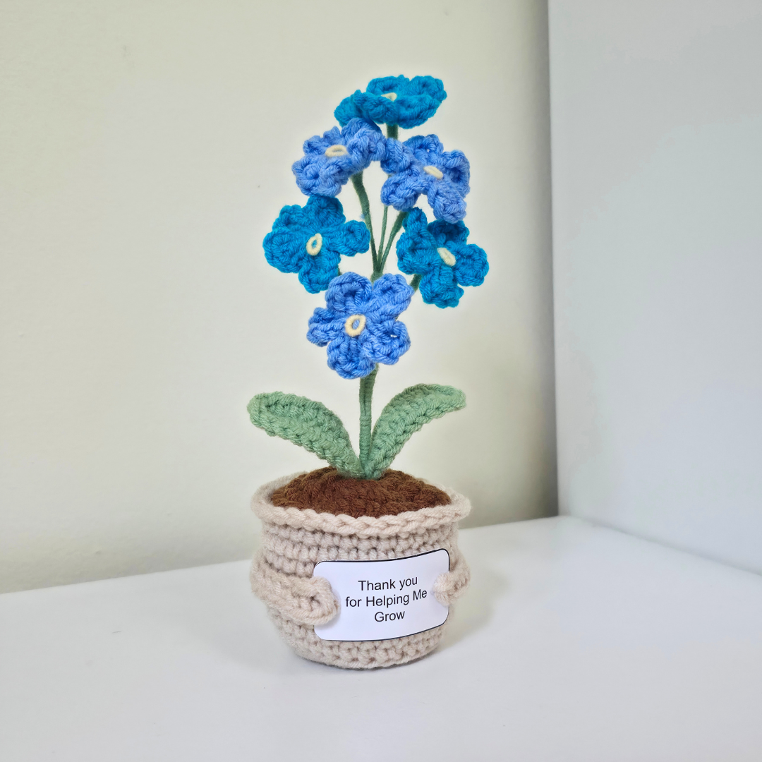Flower Pot - Forget Me Not