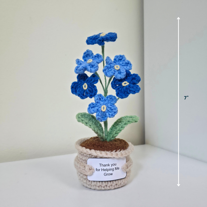 Flower Pot - Forget Me Not