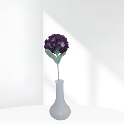Carnation