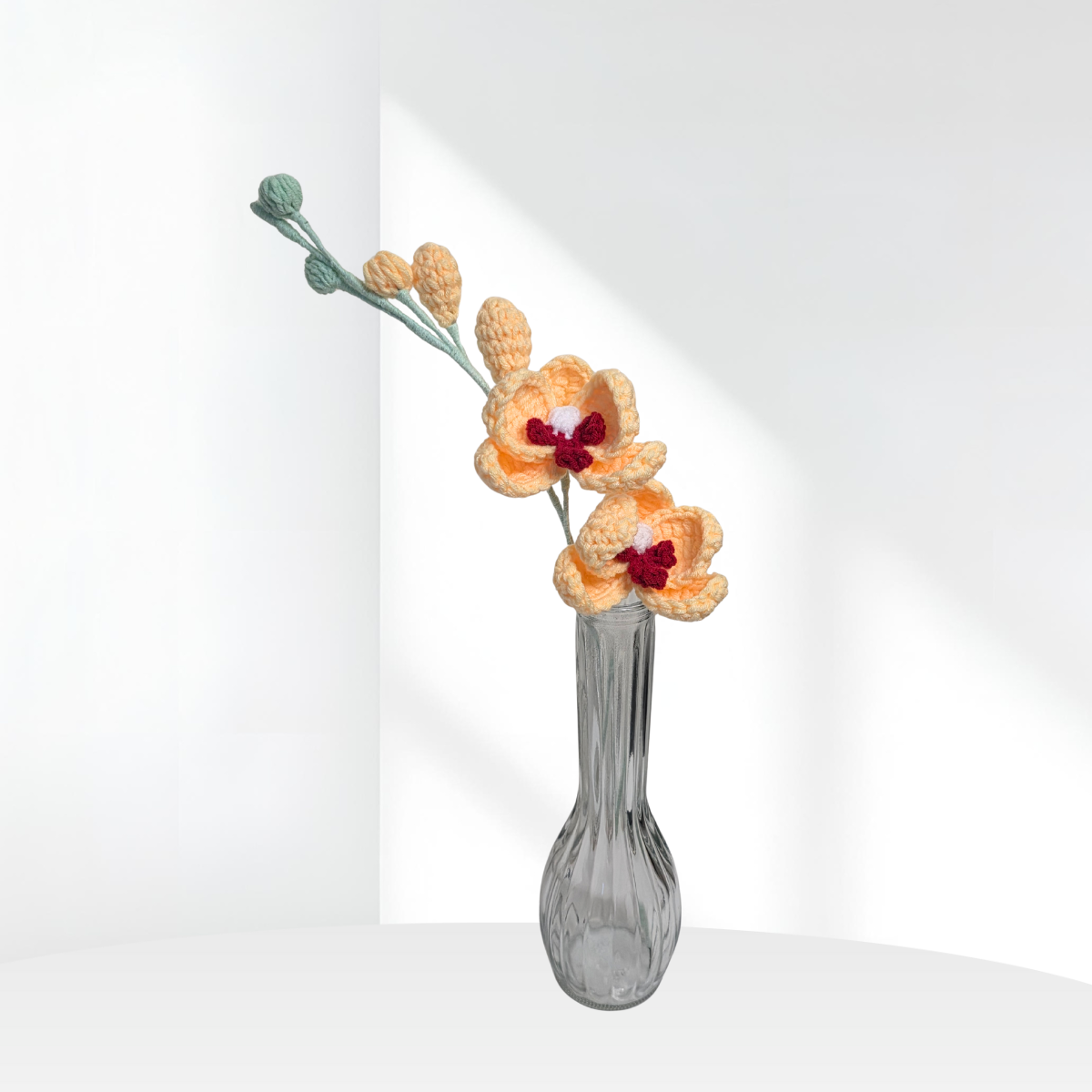 Orchid