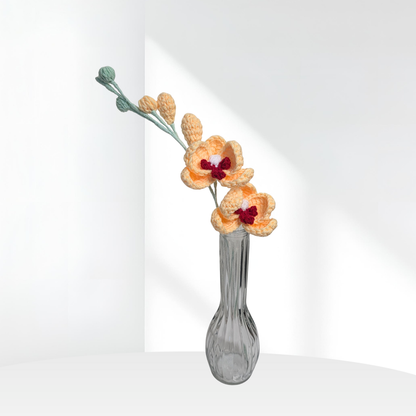 Orchid