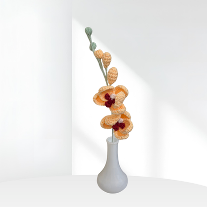 Orchid