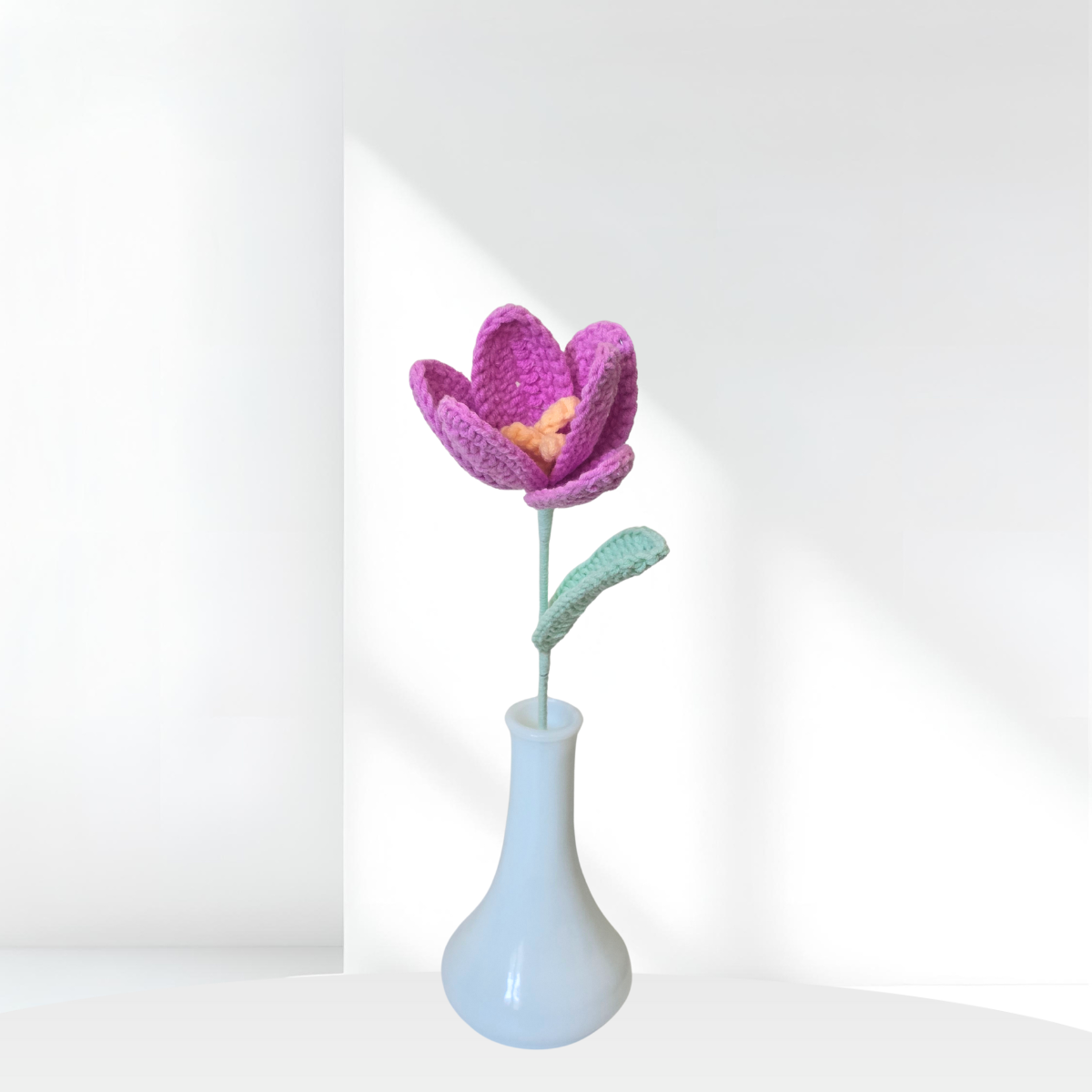 Open Tulips