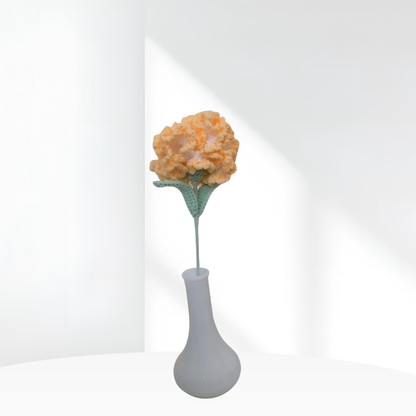 Carnation