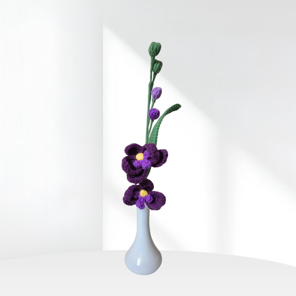 Orchid