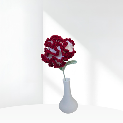 Carnation