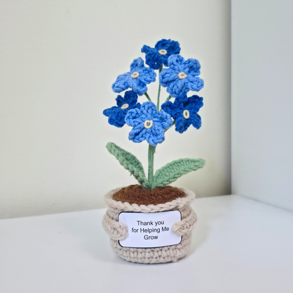 Flower Pot - Forget Me Not