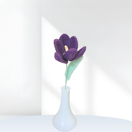 Open Tulips