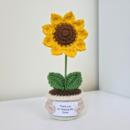 Flower Pot - Sunflower