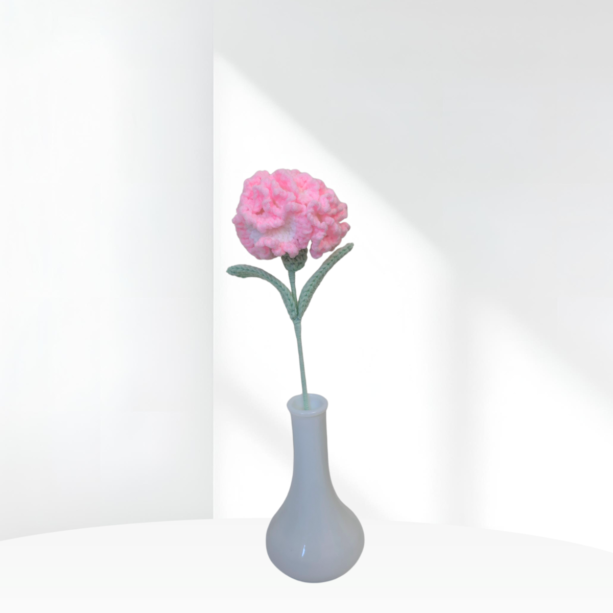 Carnation