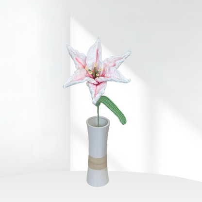 Lily Large