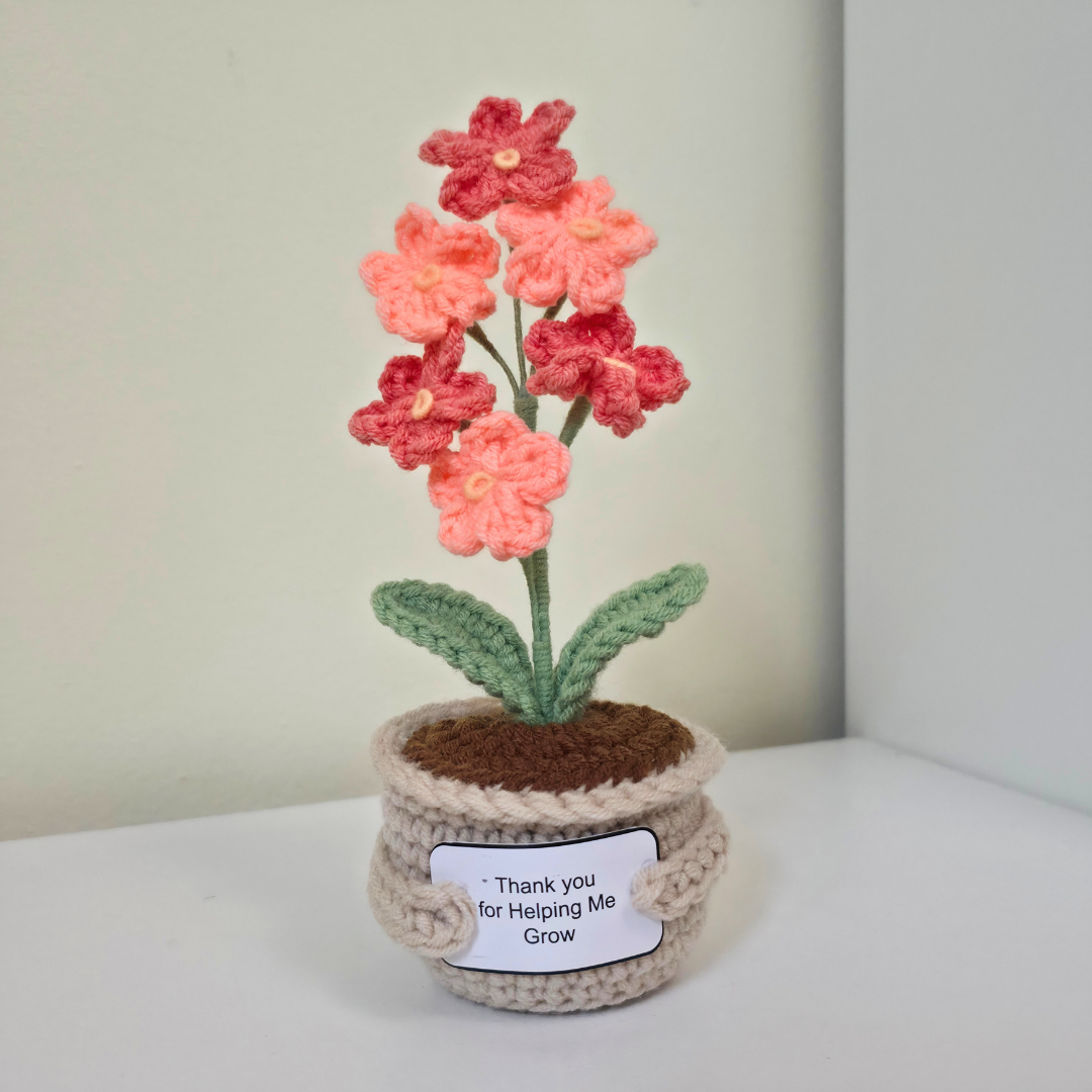Flower Pot - Forget Me Not