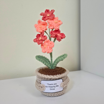 Flower Pot - Forget Me Not