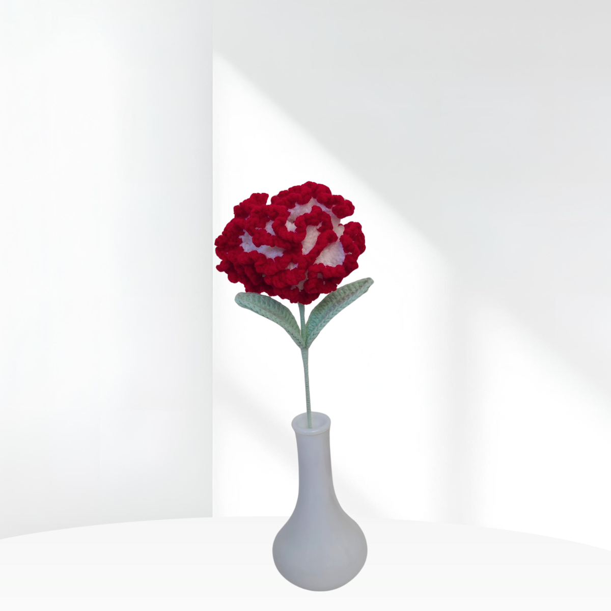 Carnation