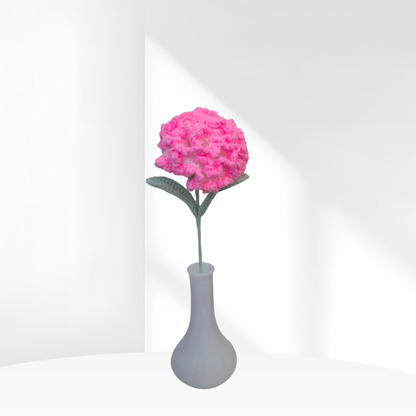 Carnation