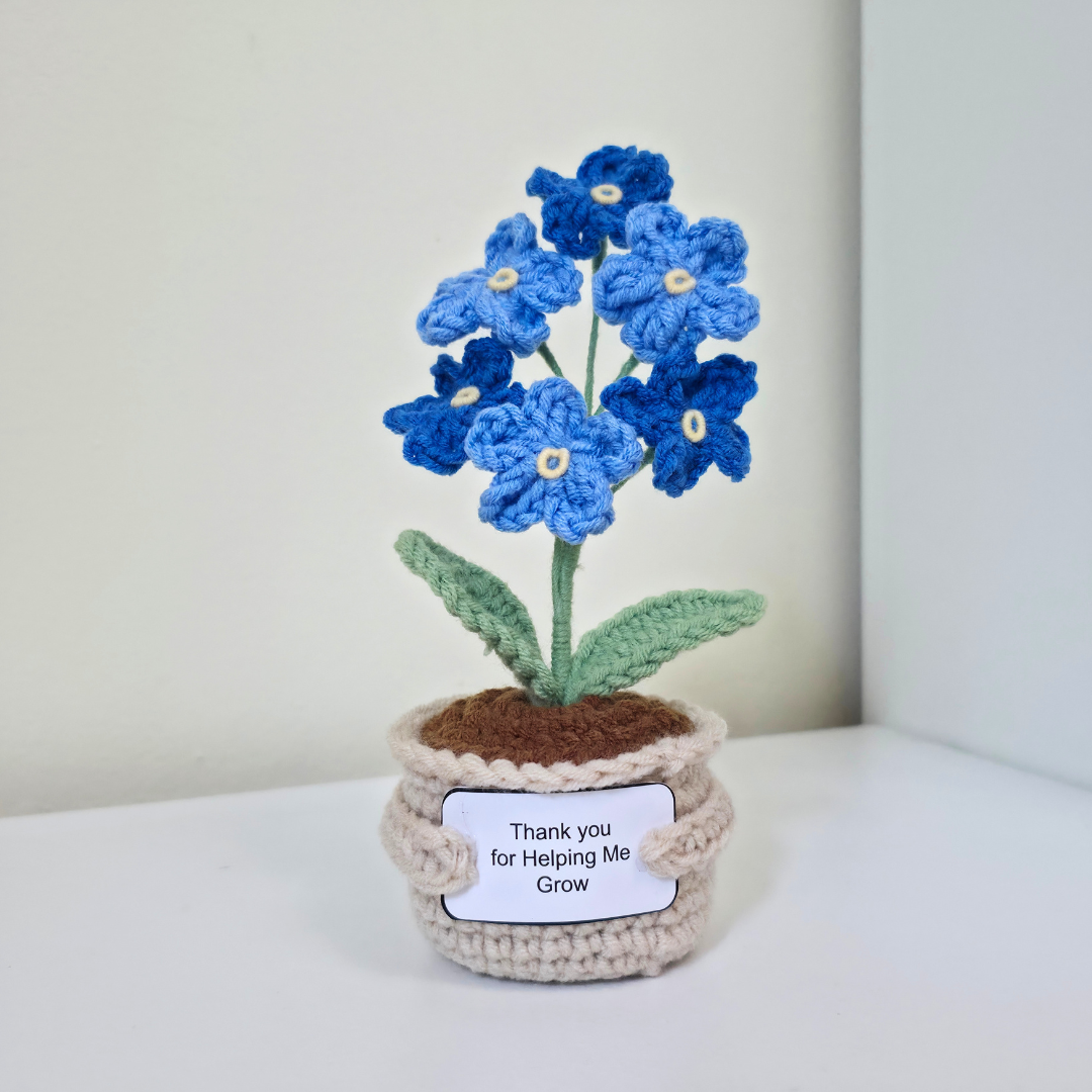 Flower Pot - Forget Me Not