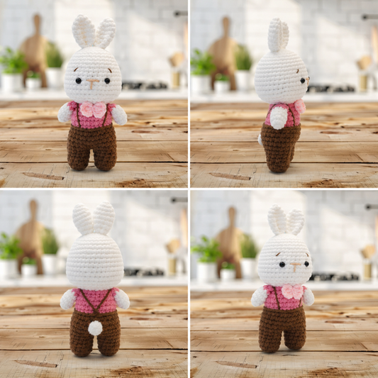 Bunny Boy