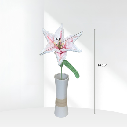 Lily Large