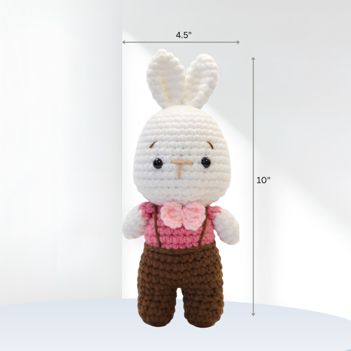 Bunny Boy
