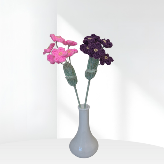 Forget-Me-Not Stem